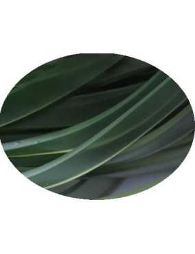 Cordon caoutchouc plat large vert olive-10mmx2.2mm
