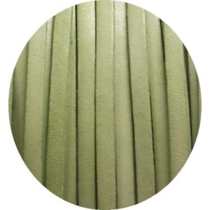Cordon de cuir plat 5mm vert amande clair vendu au metre