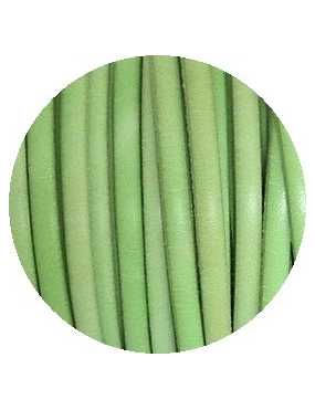 Cordon de cuir plat 5x2mm vert amande-vente au cm