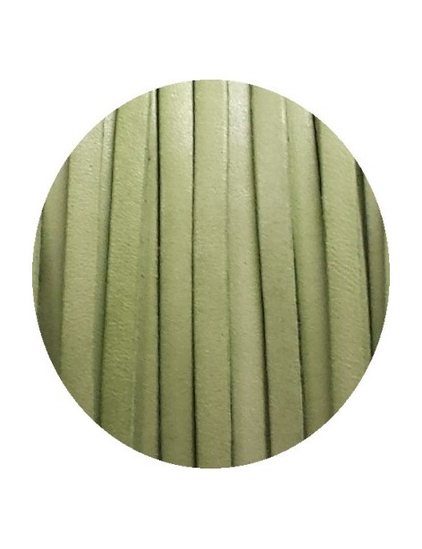Cordon de cuir plat 5mm vert amande clair-vente au cm