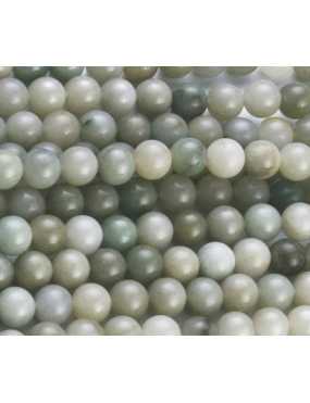 Fil de 36 perles rondes jade Birman de 10mm tons verts pâle gris beiges